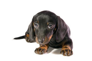 Similar image 10433454