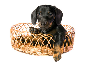 Similar image 10433475