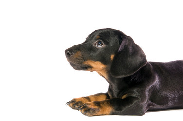 Similar image 10433481