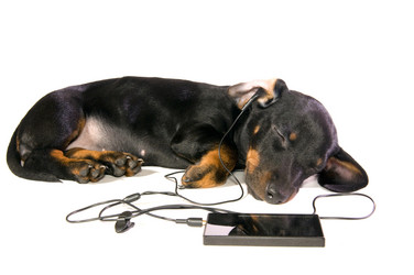 Similar image 10433485