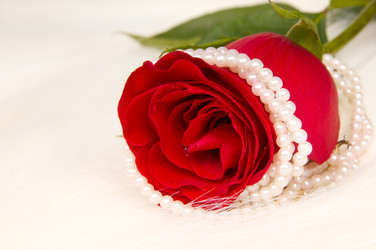 Similar image 10433487