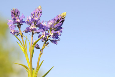 Similar image 10433518