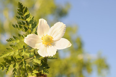 Similar image 10433521