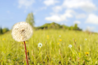 Similar image 10433522