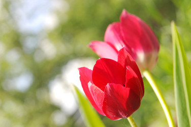 Similar image 10433524