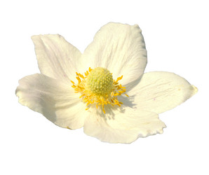 Similar image 10433525