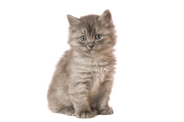 Similar image 10433528