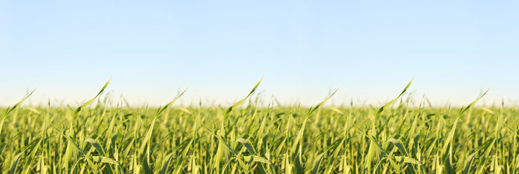 Similar image 10433581