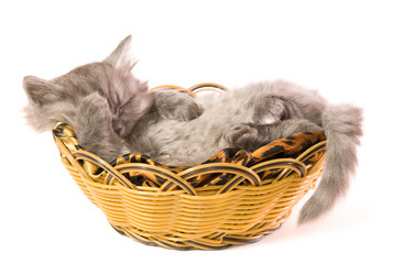 Similar image 10433585