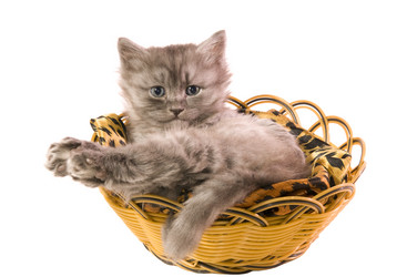 Similar image 10433592