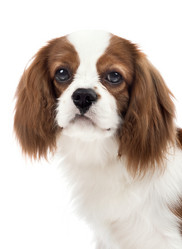 Similar image 10433674