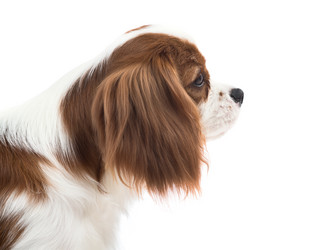 Similar image 10433677