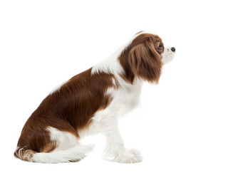 Similar image 10433678