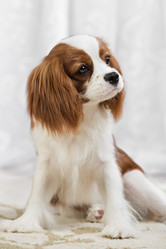 Similar image 10433681