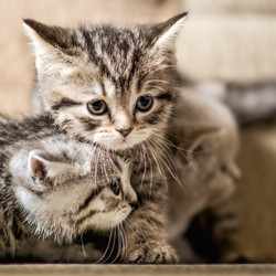 Similar image 10433713