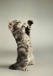 Similar image 10433726