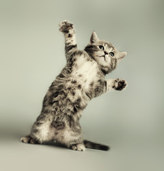 Similar image 10433727