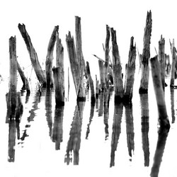 Similar image 10433790