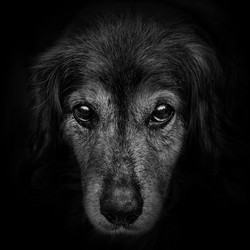 Similar image 10433935