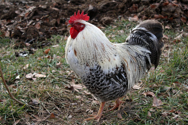 Similar image 10433995