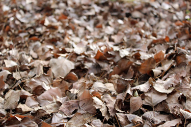 Similar image 10433996