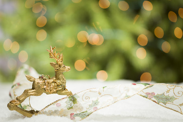 Similar image 10434014