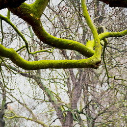 Similar image 10434063