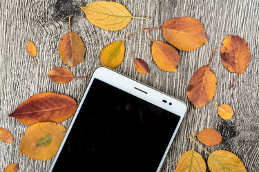 Similar image 10434340