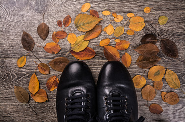 Similar image 10434349