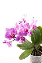 Similar image 10434352