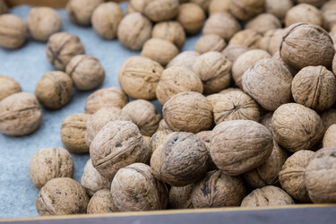 Similar image 10434354