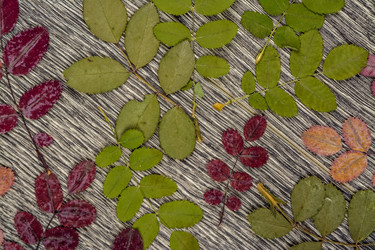 Similar image 10434361