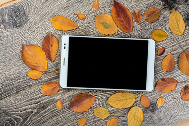 Similar image 10434375