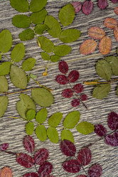 Similar image 10434384