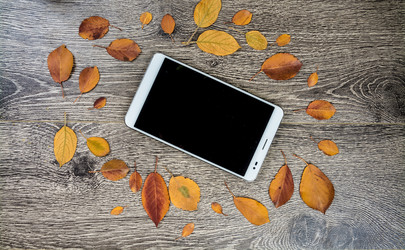 Similar image 10434385