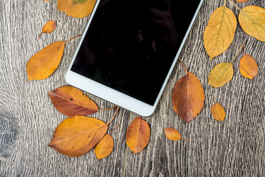 Similar image 10434386