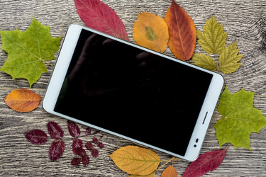 Similar image 10434387