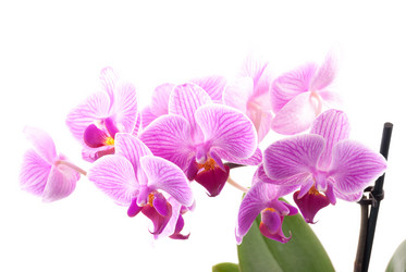 Similar image 10434389