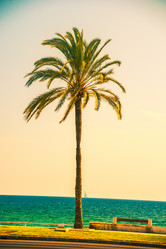 Similar image 10434391