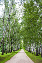 Similar image 10434400