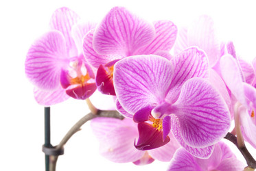 Similar image 10434402