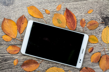 Similar image 10434409