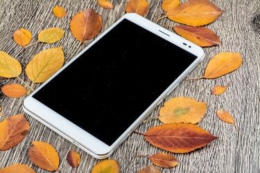 Similar image 10434412