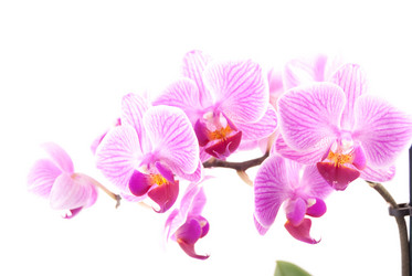 Similar image 10434425