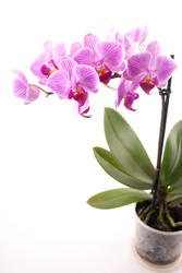 Similar image 10434428