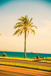 Similar image 10434456