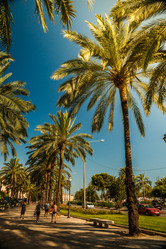 Similar image 10434463