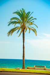 Similar image 10434464