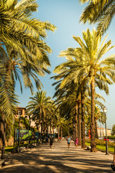 Similar image 10434476