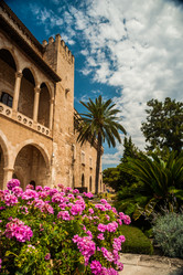 Similar image 10434477